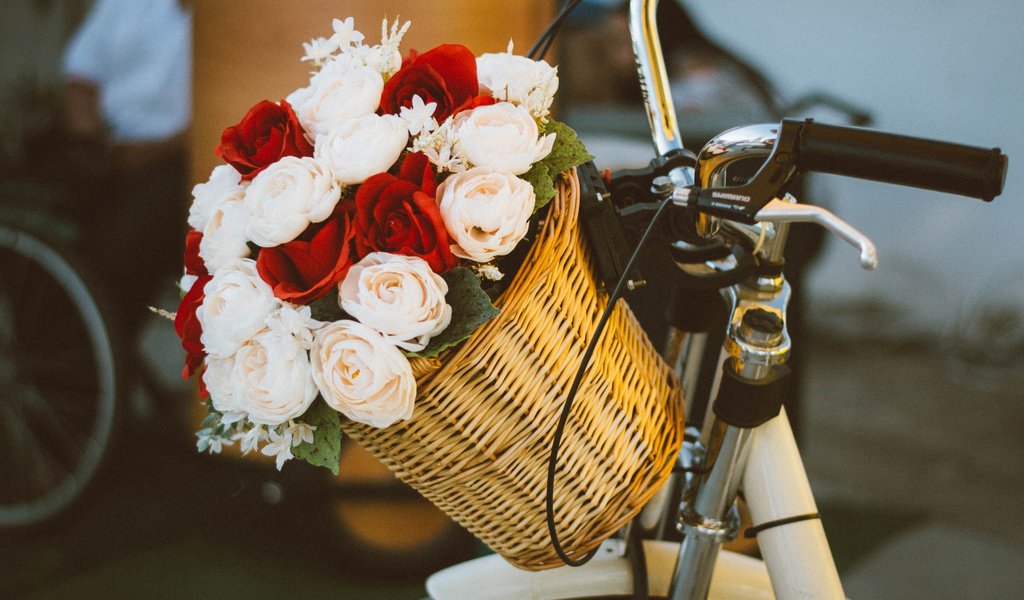 Обои настроение, розы, букет, корзина, велосипед, mood, roses, bouquet, basket, bike разрешение 2112x1188 Загрузить