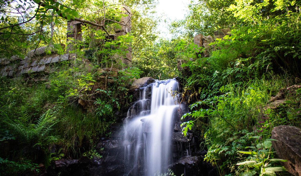 Обои montseny
catalunya, montseny
catalunya разрешение 6000x4000 Загрузить