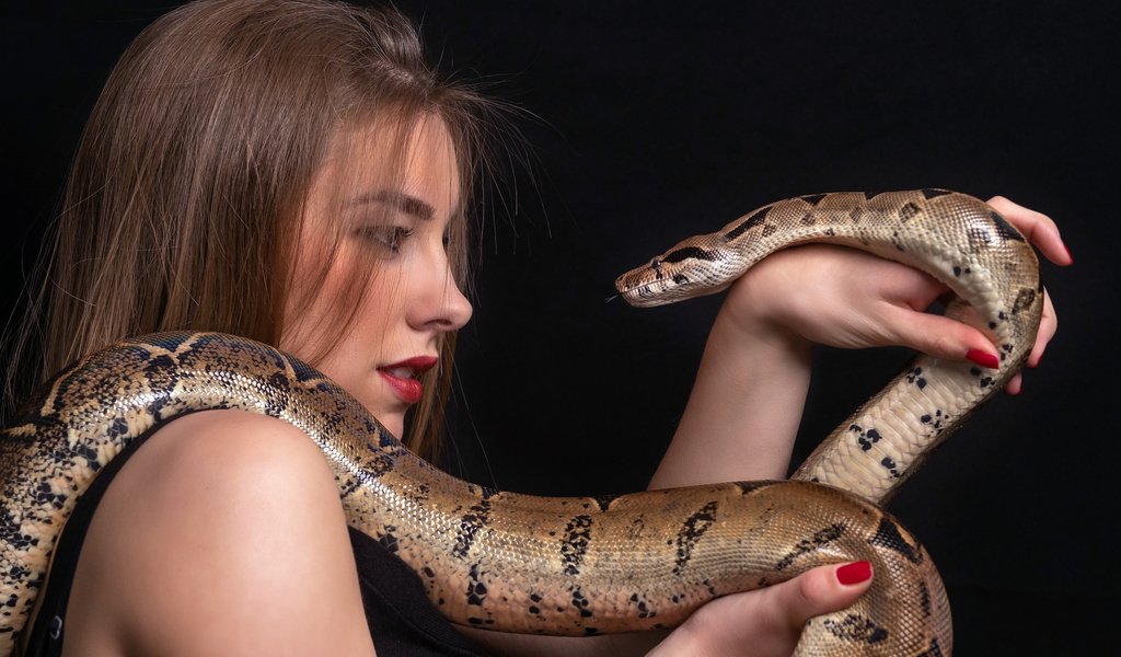 Обои девушка, ситуация, змея, girl, the situation, snake разрешение 2112x1188 Загрузить