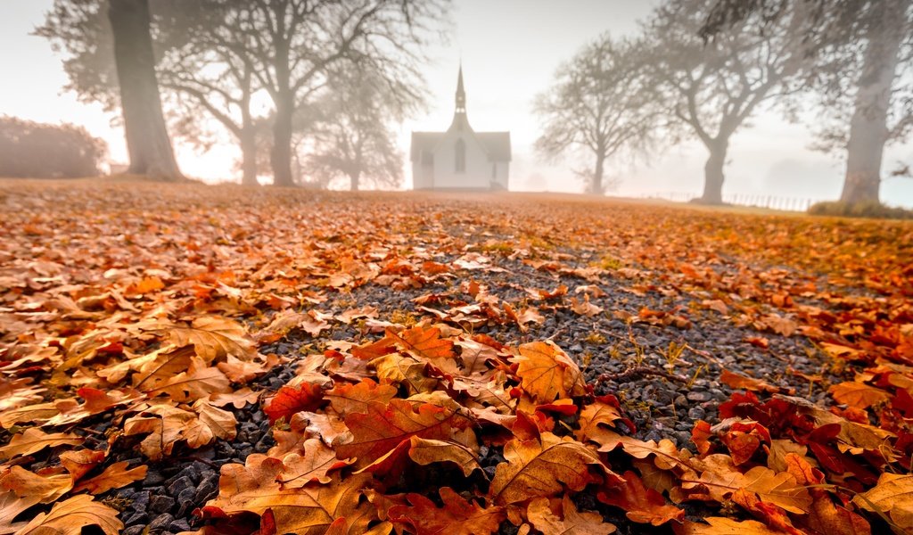 Обои природа, листья, туман, осень, здание, nature, leaves, fog, autumn, the building разрешение 2048x1249 Загрузить