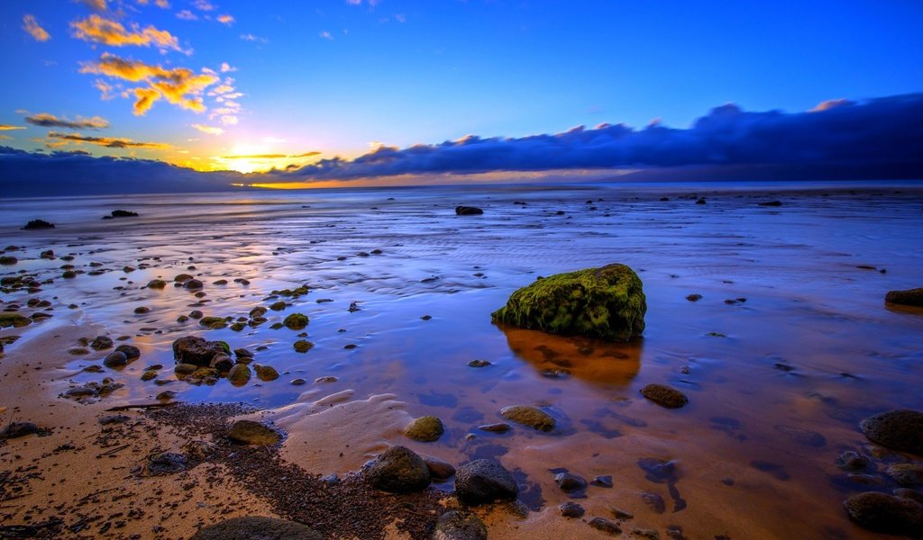 Обои камни, пляж, побережье, океан, сша, гавайи, остров мауи, stones, beach, coast, the ocean, usa, hawaii разрешение 2560x1600 Загрузить