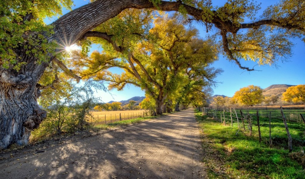 Обои дорога, деревья, солнце, лес, лучи, осень, забор, грунтовая, road, trees, the sun, forest, rays, autumn, the fence разрешение 1920x1080 Загрузить