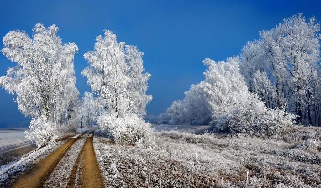 Обои дорога, иней, трава, деревья, снег, природа, зима, пейзаж, кусты, road, frost, grass, trees, snow, nature, winter, landscape, the bushes разрешение 1920x1080 Загрузить