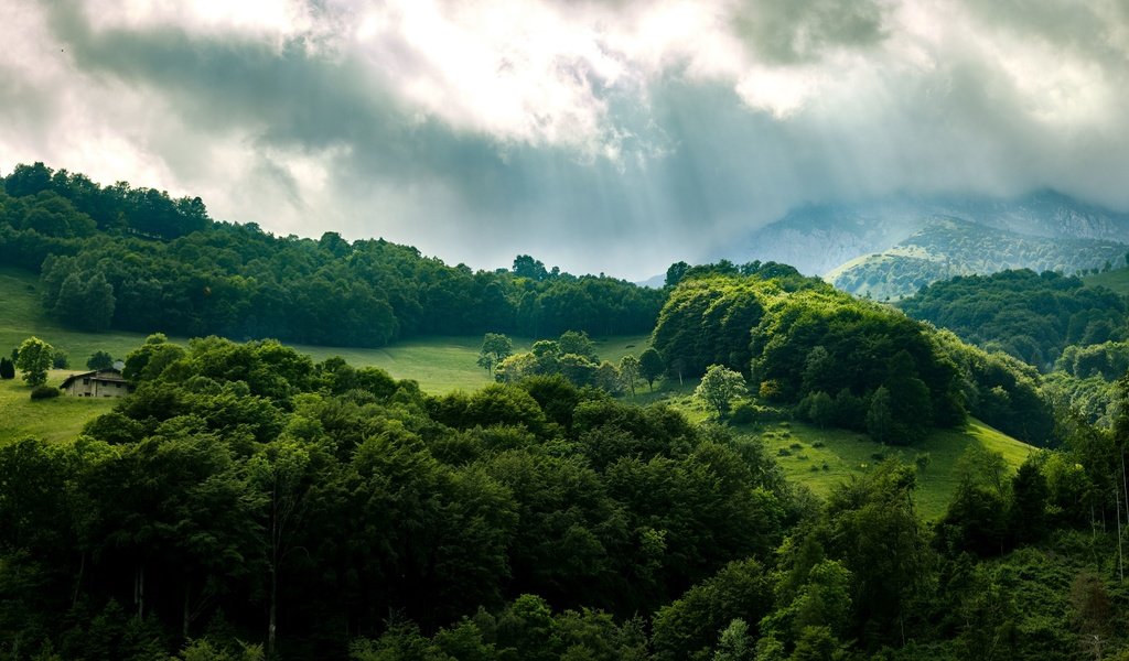 Обои небо, деревья, лес, лучи, the sky, trees, forest, rays разрешение 3840x2160 Загрузить