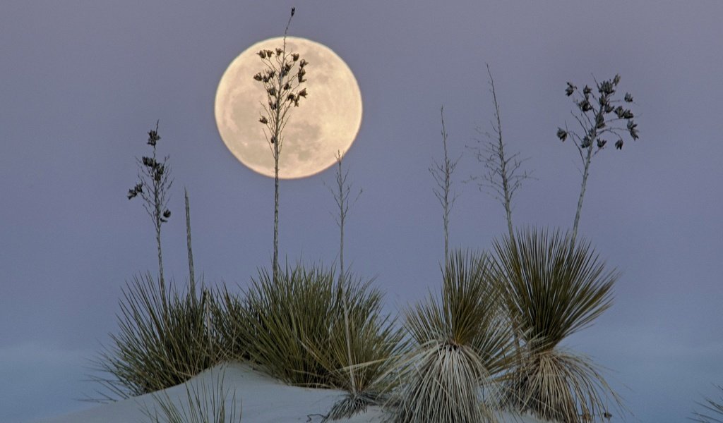 Обои пустыня, луна, сша, нью-мексико, белый песок, white sands national monume, desert, the moon, usa, new mexico, white sand разрешение 2047x1497 Загрузить