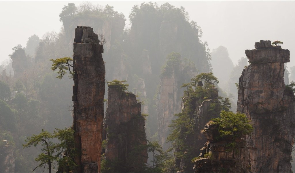Обои горы, скалы, туман, китай, zhangjiajie national park, mountains, rocks, fog, china разрешение 1920x1080 Загрузить