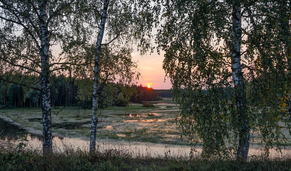 Обои деревья, река, природа, закат, пейзаж, леса, trees, river, nature, sunset, landscape, forest разрешение 2278x1520 Загрузить