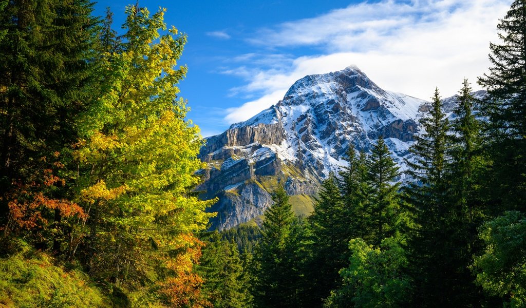 Обои горы, природа, лес, осень, швейцария, альпы, mountains, nature, forest, autumn, switzerland, alps разрешение 5120x3413 Загрузить