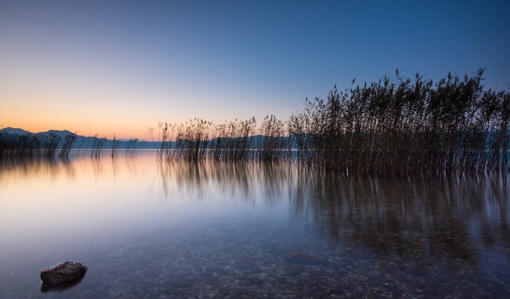 Обои озеро, утро, рассвет, греция, камыш, lake, morning, dawn, greece, reed разрешение 3240x2160 Загрузить