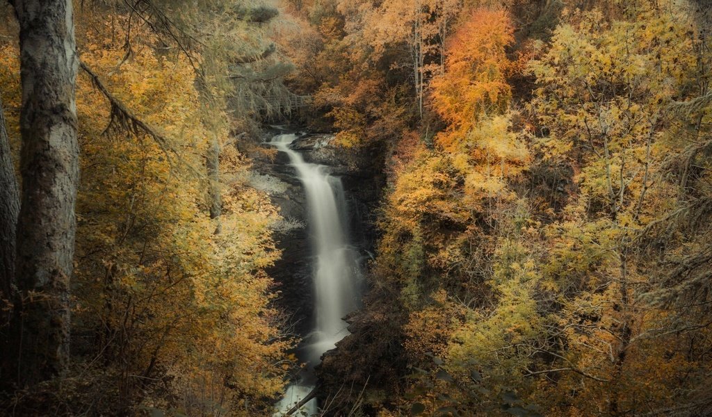 Обои природа, лес, скала, водопад, осень, поток, nature, forest, rock, waterfall, autumn, stream разрешение 2048x1334 Загрузить