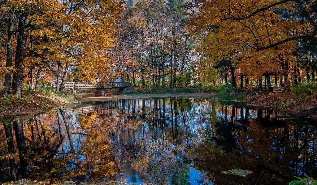 Обои деревья, природа, отражение, парк, мост, осень, trees, nature, reflection, park, bridge, autumn разрешение 2123x1329 Загрузить