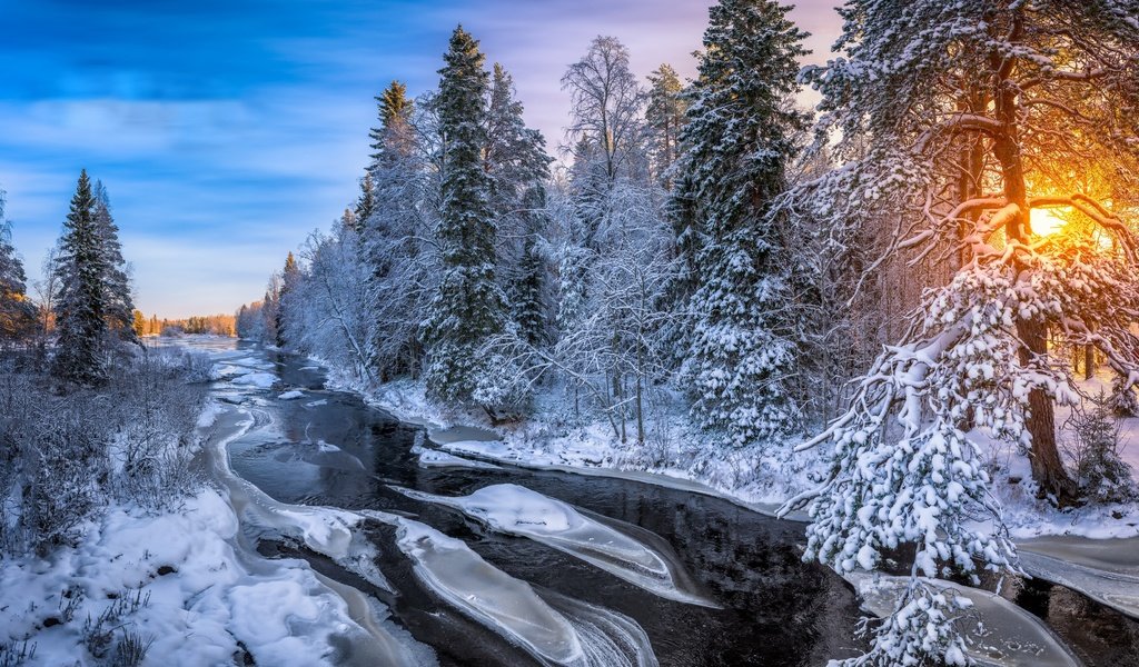 Обои река, лес, зима, утро, river, forest, winter, morning разрешение 3840x2160 Загрузить