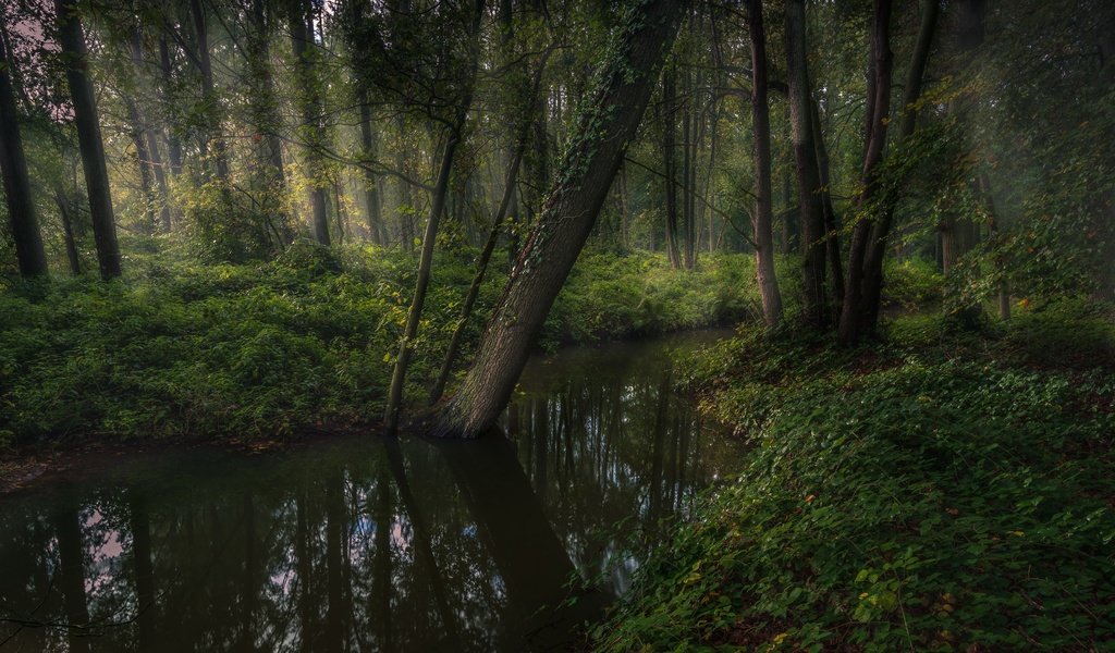 Обои река, природа, river, nature разрешение 3840x2160 Загрузить