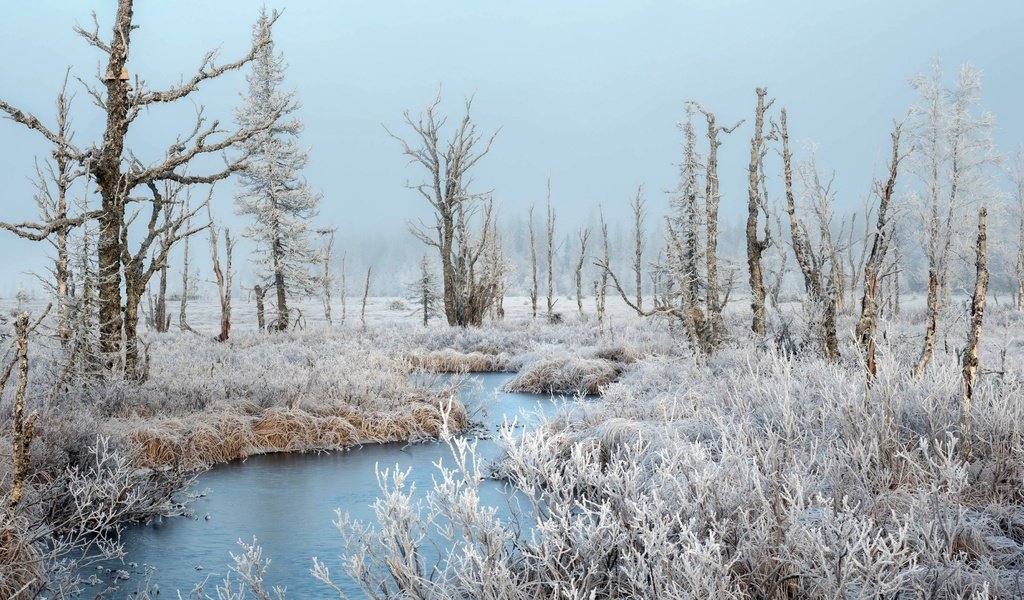 Обои река, зима, иней, river, winter, frost разрешение 3840x2160 Загрузить