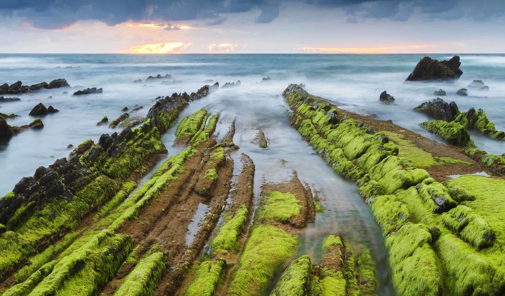 Обои скалы, море, испания, водоросли, бискайя, баррика, rocks, sea, spain, algae, biscay, barrika разрешение 5184x2916 Загрузить