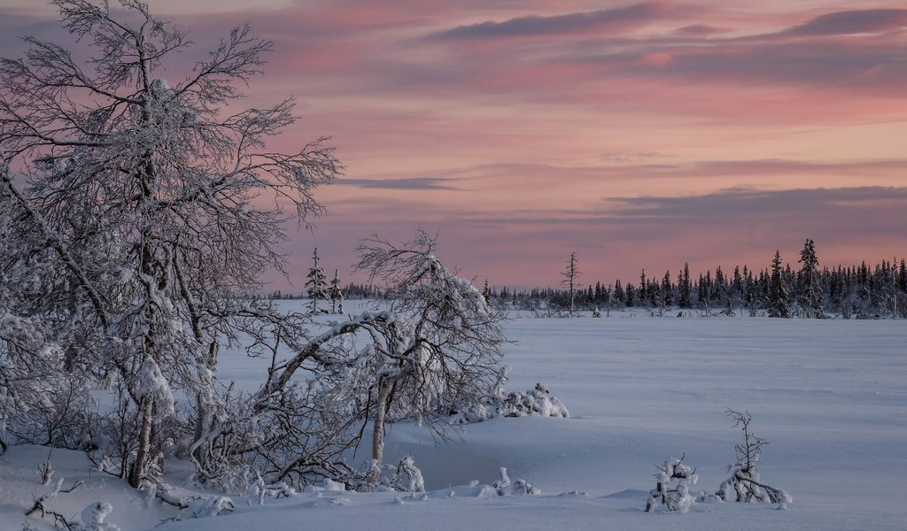 Обои снег, закат, зима, snow, sunset, winter разрешение 3840x2160 Загрузить