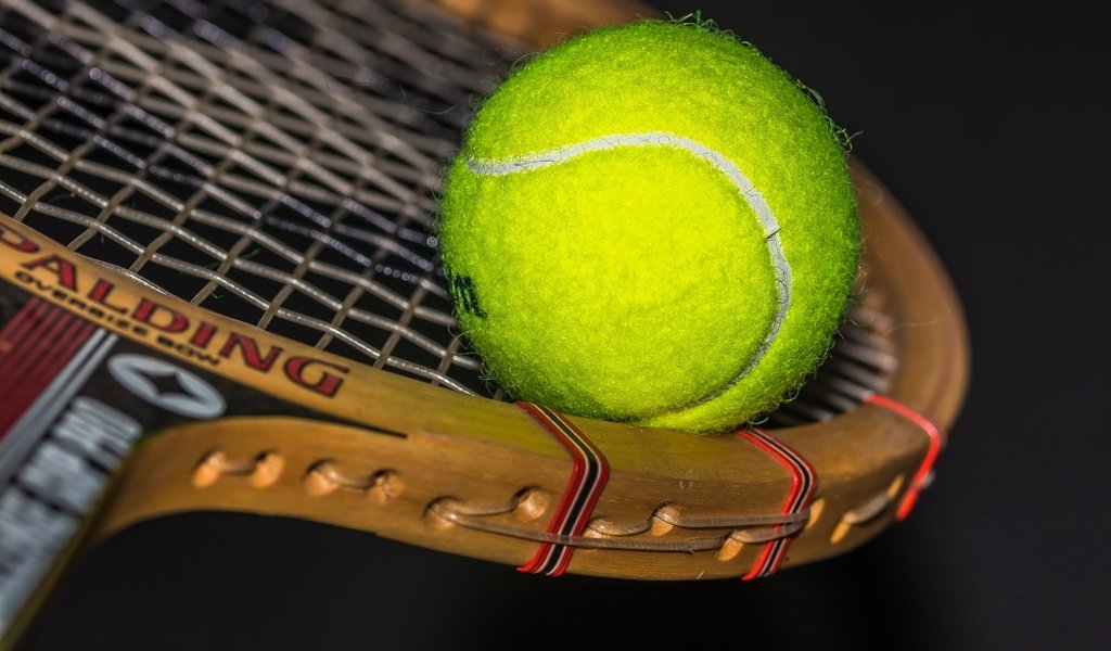 Обои спорт, мяч, ракетка, sport, the ball, racket разрешение 6000x4000 Загрузить