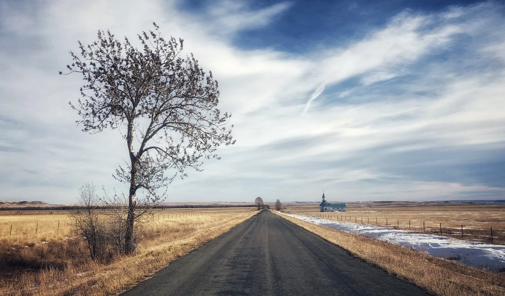 Обои дорога, дерево, поле, road, tree, field разрешение 3840x2160 Загрузить