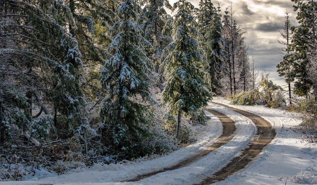 Обои дорога, лес, зима, road, forest, winter разрешение 3840x2160 Загрузить