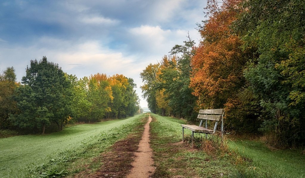 Обои дорога, осень, скамья, road, autumn, bench разрешение 2048x1365 Загрузить