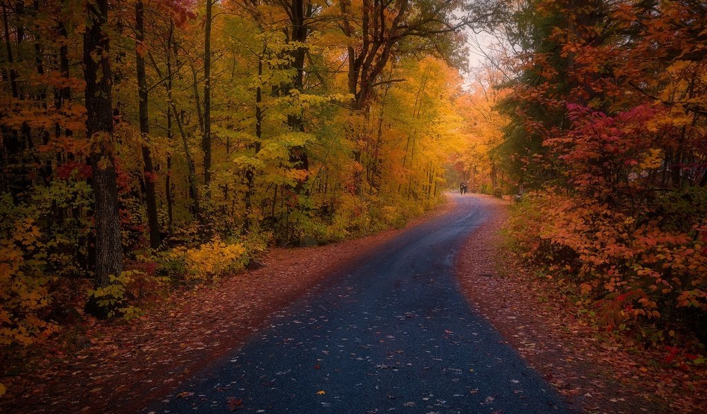 Обои дорога, осень, road, autumn разрешение 2048x1260 Загрузить