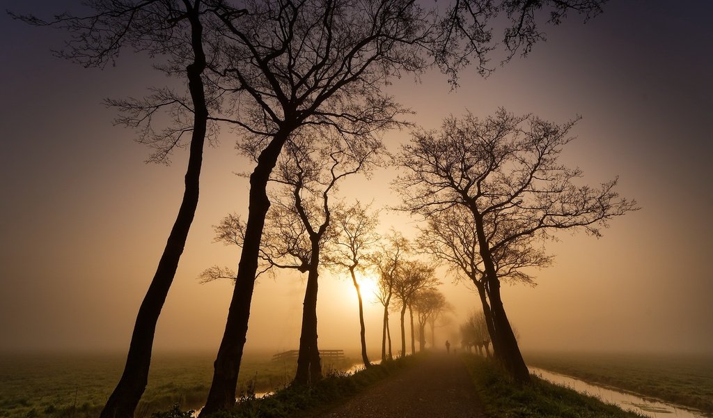 Обои дорога, природа, закат, road, nature, sunset разрешение 2048x1365 Загрузить