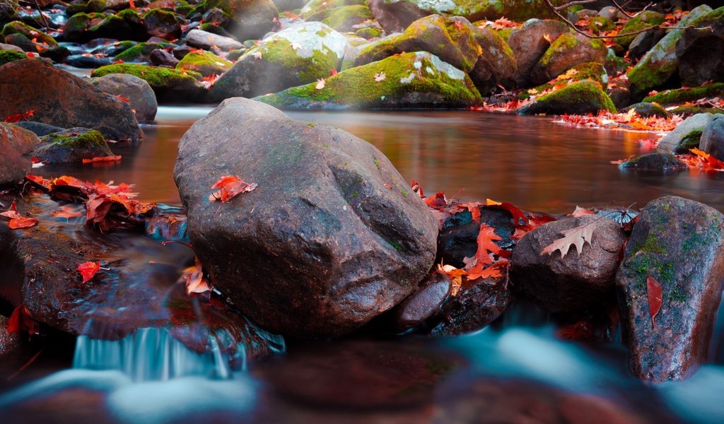 Обои камни, ручей, листва, водопад, осень, мох, осенние листья, stones, stream, foliage, waterfall, autumn, moss, autumn leaves разрешение 3000x2000 Загрузить