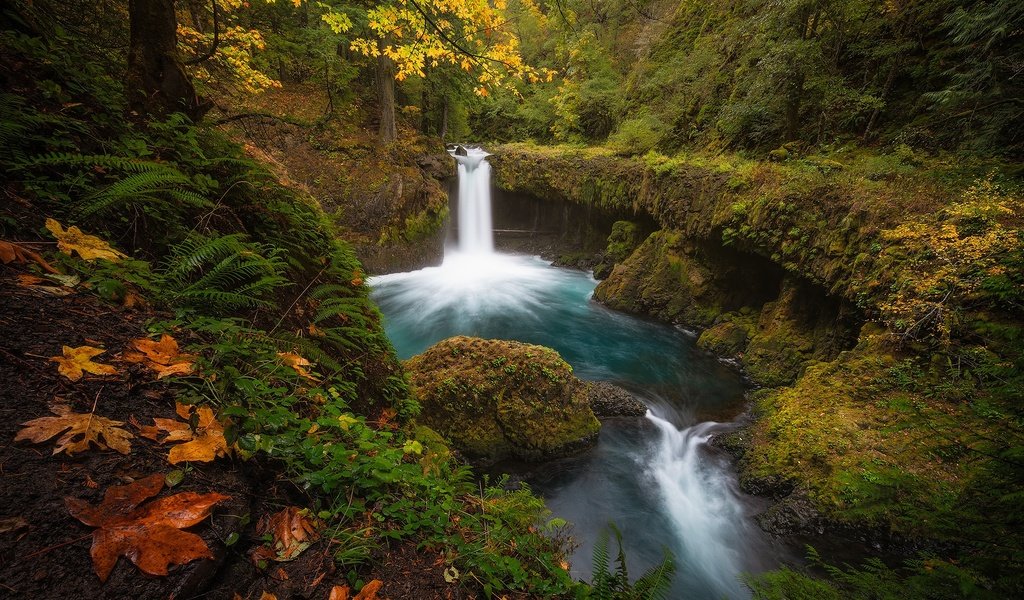 Обои лес, водопад, осень, forest, waterfall, autumn разрешение 2000x1443 Загрузить