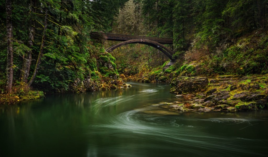 Обои река, лес, мост, штат вашингтон, lewis river, river, forest, bridge, washington разрешение 6144x3787 Загрузить