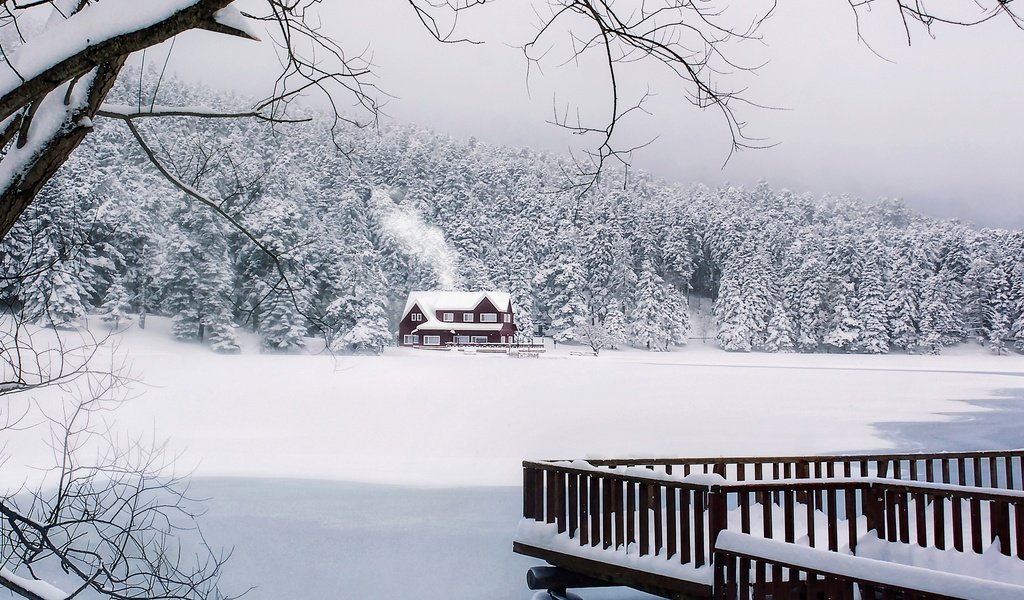 Обои снег, лес, зима, дом, турция, snow, forest, winter, house, turkey разрешение 3000x2000 Загрузить