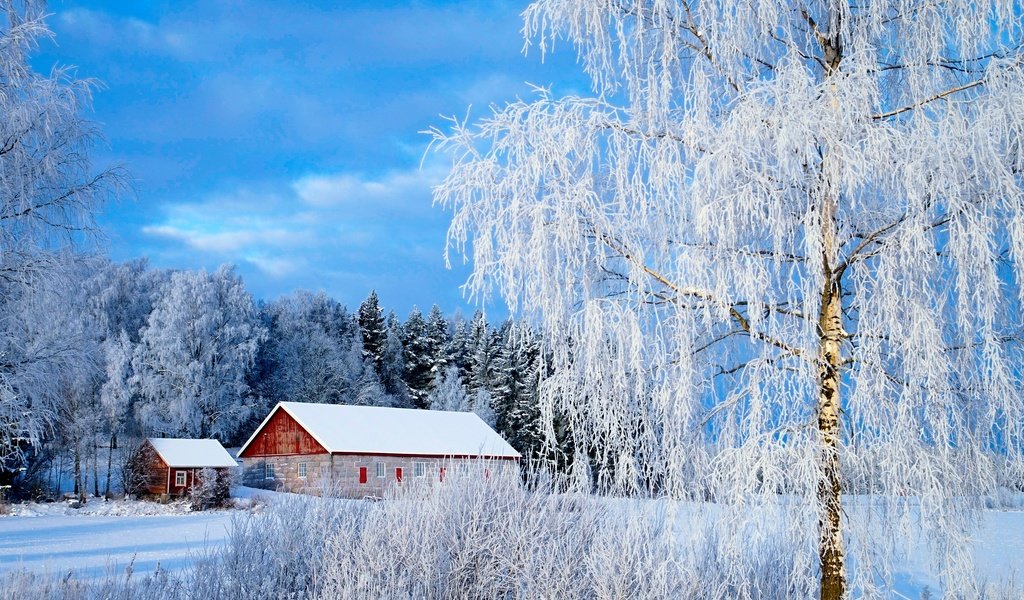 Обои снег, зима, зимний лес, snow, winter, winter forest разрешение 3056x1931 Загрузить