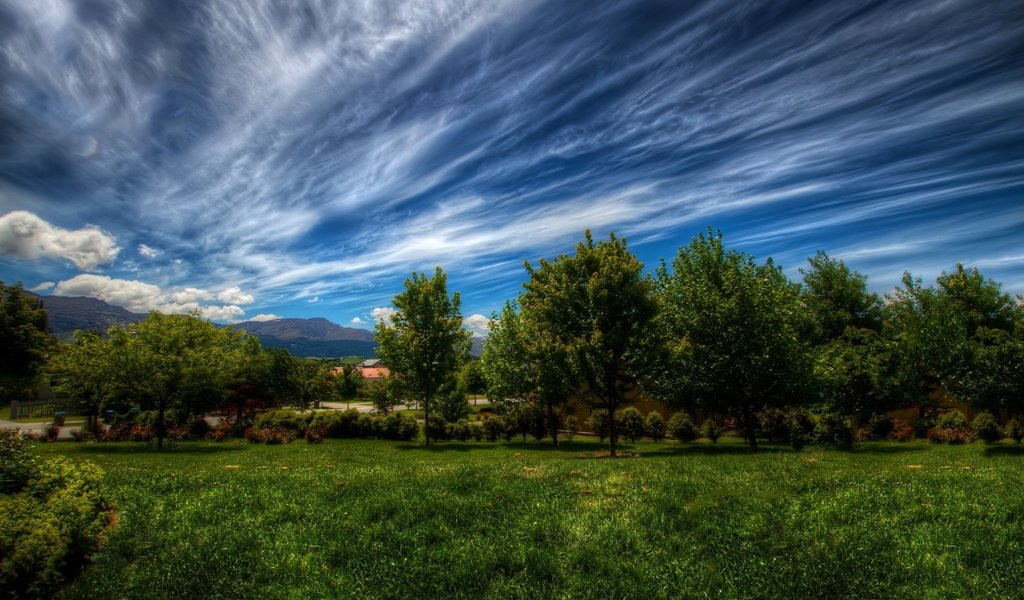 Обои небо, трава, облака, деревья, природа, зелень, пейзаж, the sky, grass, clouds, trees, nature, greens, landscape разрешение 2880x1800 Загрузить