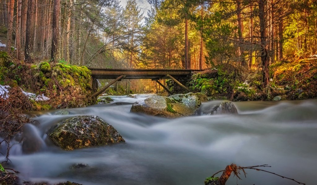 Обои река, камни, лес, мост, поток, river, stones, forest, bridge, stream разрешение 1984x1244 Загрузить