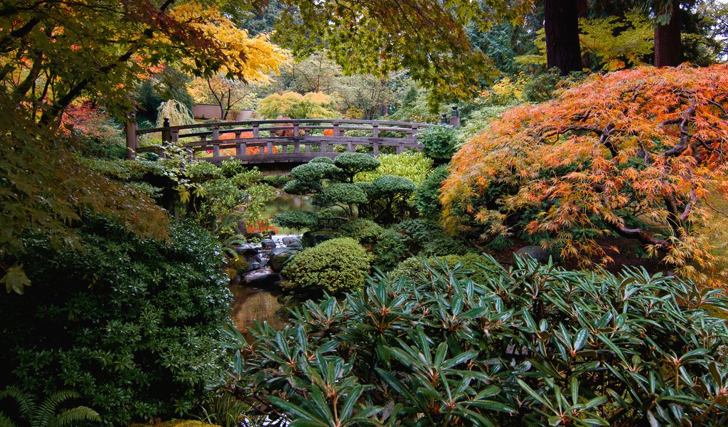 Обои природа, ручей, кусты, мост, сад, сша, японский сад, portland japanese garden, nature, stream, the bushes, bridge, garden, usa, japanese garden разрешение 3957x2507 Загрузить