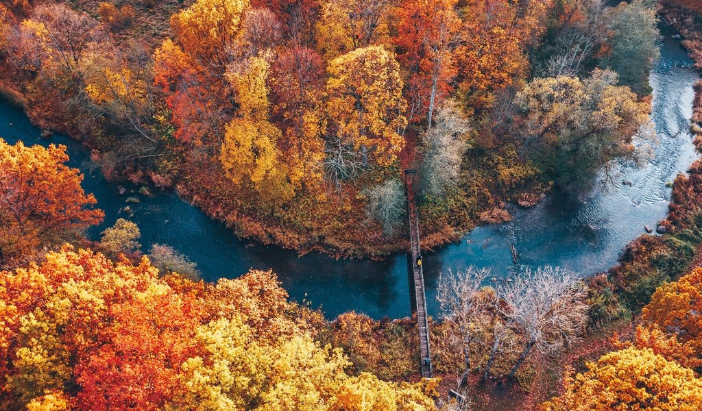 Обои река, парк, осень, river, park, autumn разрешение 3840x2160 Загрузить