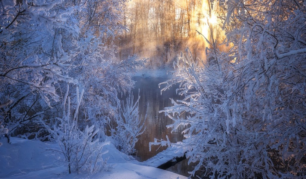 Обои деревья, стужа, река, снег, зима, утро, мороз, россия, алтай, trees, river, snow, winter, morning, frost, russia, altay разрешение 1920x1280 Загрузить