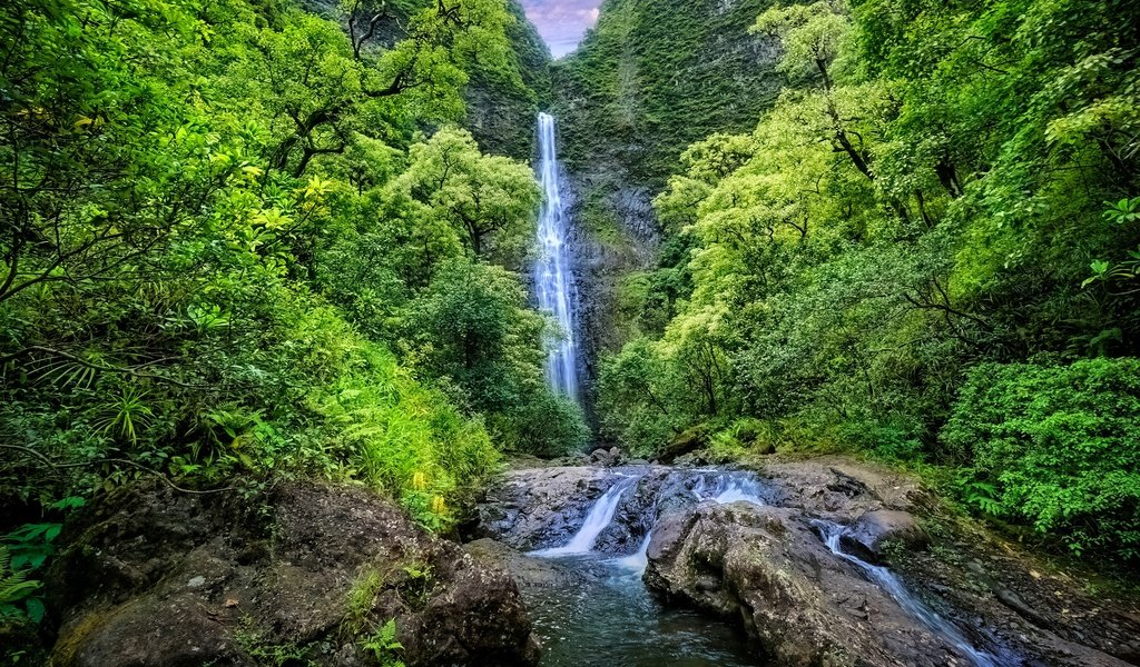 Обои деревья, растительность, горы, обрушивается, скалы, kauai, природа, пейзаж, водопад, речка, гаваи, trees, vegetation, mountains, falls, rocks, nature, landscape, waterfall, river, hawaii разрешение 2048x1366 Загрузить