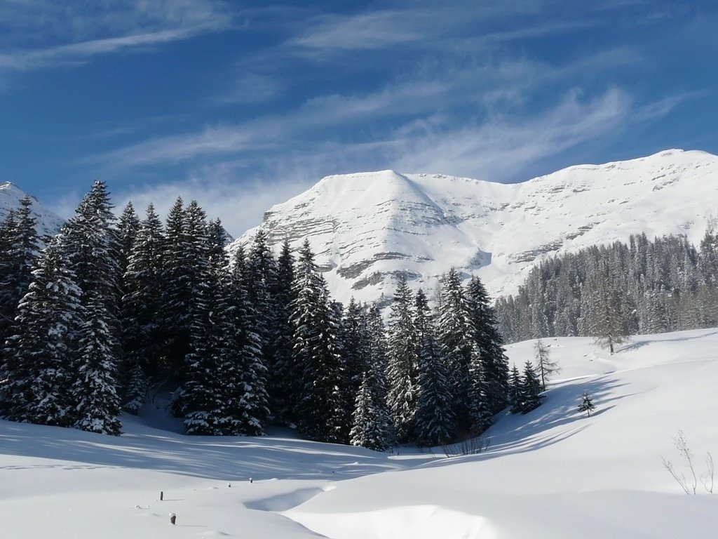 Обои горы, снег, лес, зима, mountains, snow, forest, winter разрешение 1920x1080 Загрузить