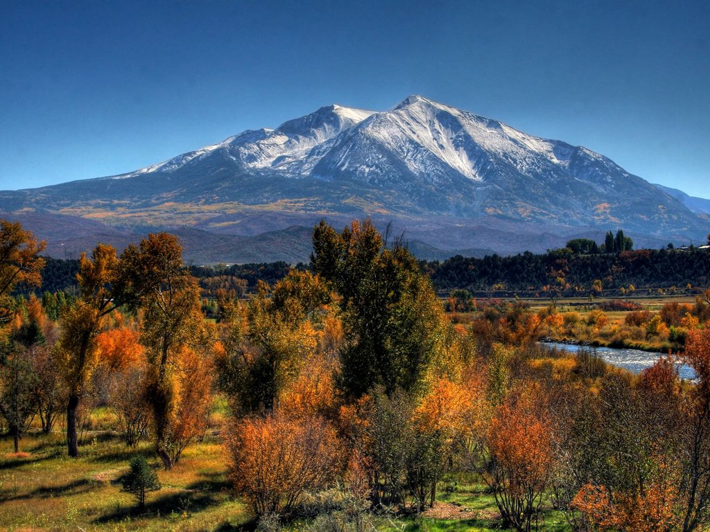 Обои деревья, гора, осень, trees, mountain, autumn разрешение 2560x1600 Загрузить