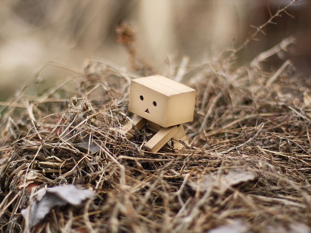 Обои трава, листья, робот, куча, данбо, дамбо, grass, leaves, robot, a bunch, danbo, dumbo разрешение 2560x1600 Загрузить