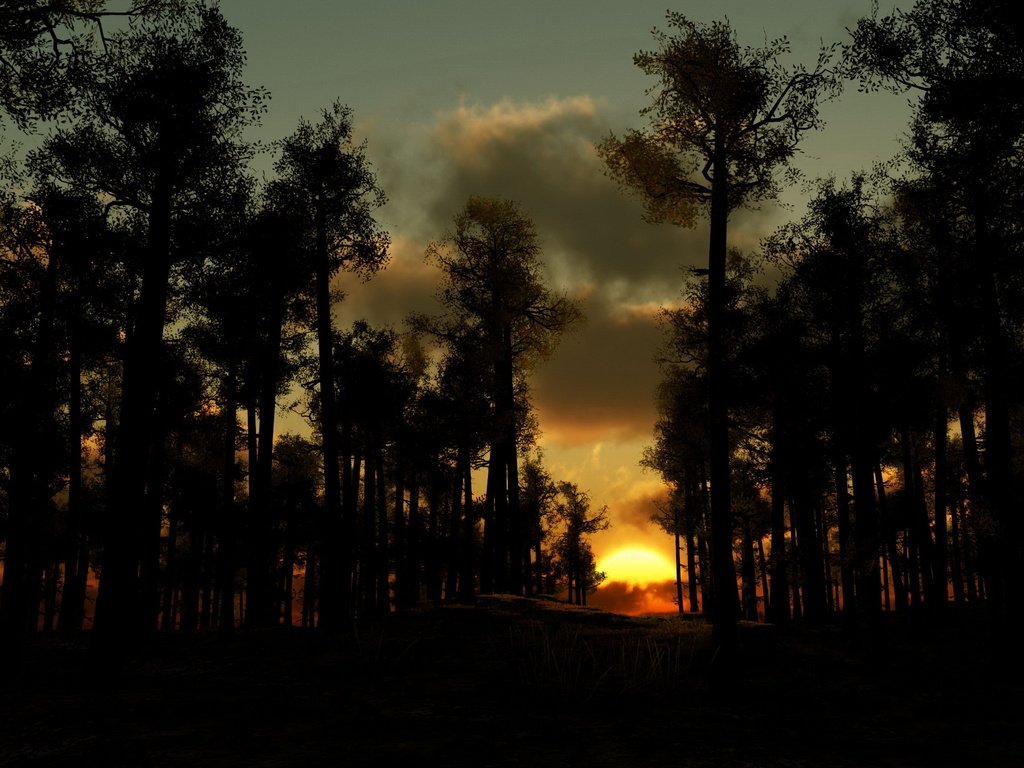 Обои деревья, вечер, лес, тучи, закат солнца, trees, the evening, forest, clouds, sunset разрешение 2560x1577 Загрузить