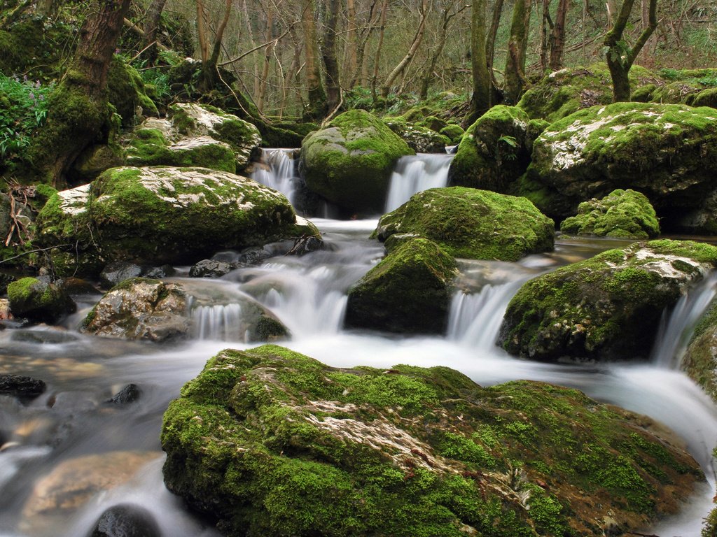 Обои вода, камни, ручей, water, stones, stream разрешение 2560x1600 Загрузить