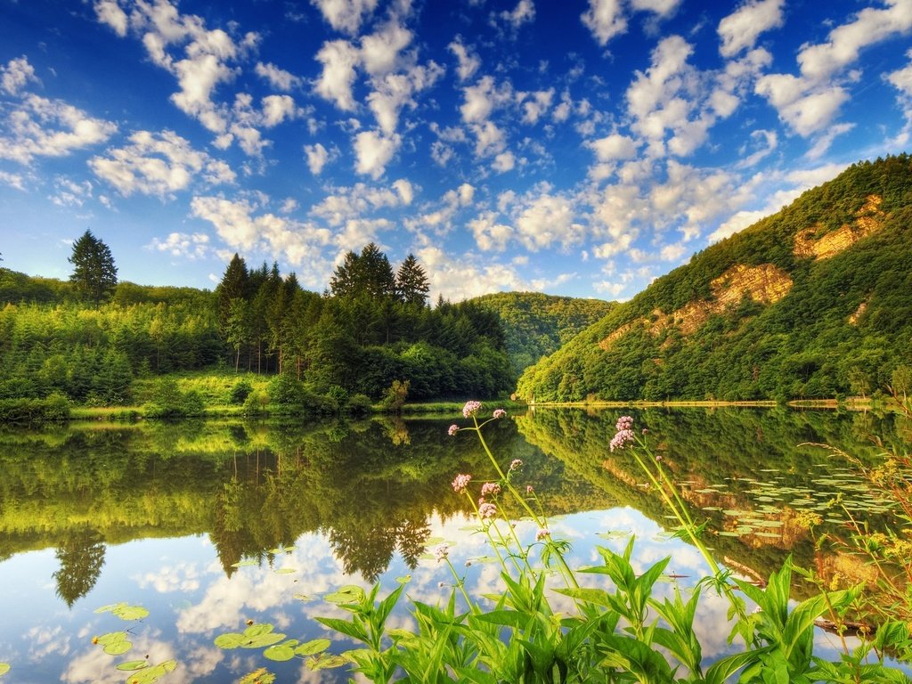 Обои облака, деревья, вода, озеро, лес, отражение, кувшинки, clouds, trees, water, lake, forest, reflection, water lilies разрешение 1920x1200 Загрузить