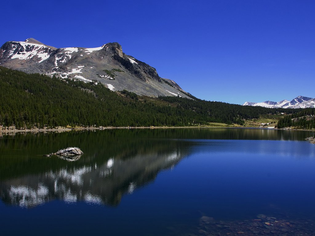 Обои небо, йосемити, облака, озеро тиога, tioga lake, деревья, озеро, горы, лес, лето, калифорния, the sky, yosemite, clouds, trees, lake, mountains, forest, summer, ca разрешение 1920x1080 Загрузить