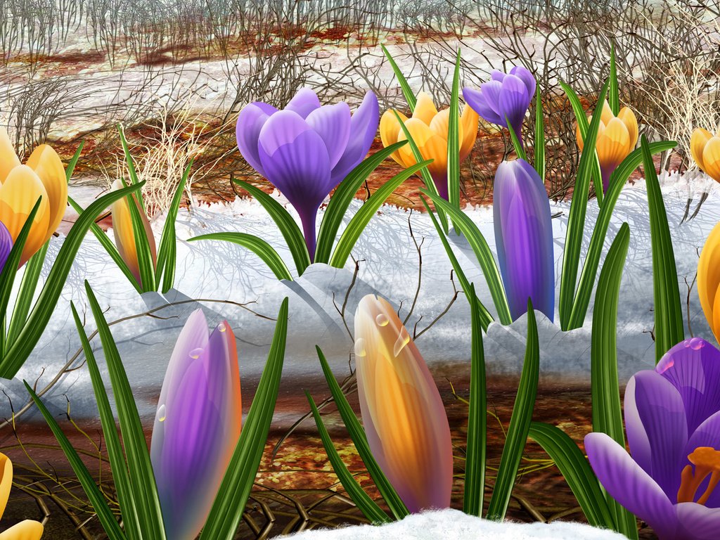Обои цветы, снег, весна, flowers, snow, spring разрешение 1920x1200 Загрузить