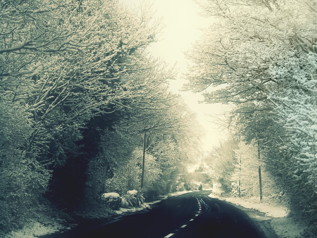 Обои дорога, деревья, снег, зима, ветки, мороз, иней, road, trees, snow, winter, branches, frost разрешение 2560x1600 Загрузить