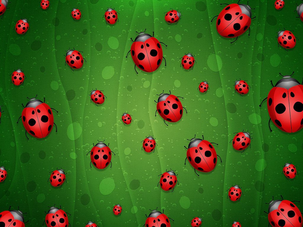 Обои зелёный, фон, божьи коровки, green, background, ladybugs разрешение 2560x1600 Загрузить