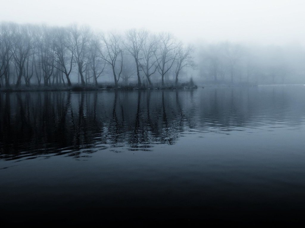 Обои река, берег, лес, утро, туман, чёрно-белое, прохлада, river, shore, forest, morning, fog, black and white, cool разрешение 1920x1200 Загрузить