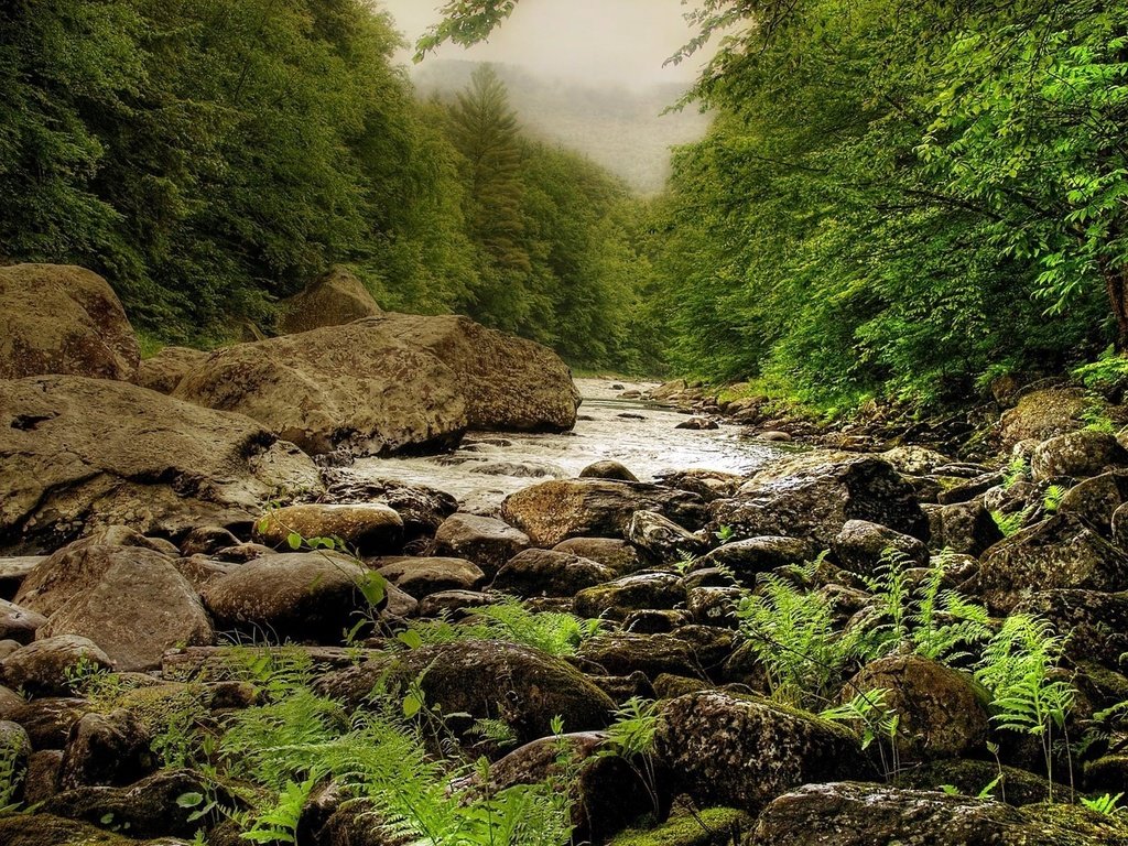 Обои деревья, камни, речка, trees, stones, river разрешение 1920x1200 Загрузить