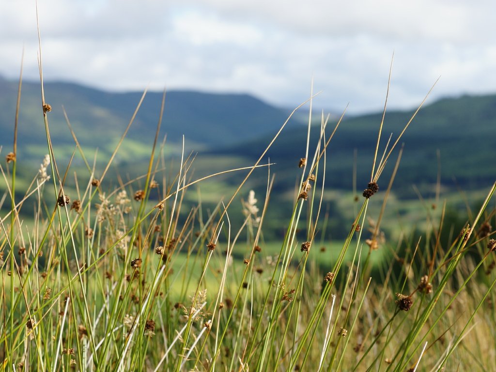 Обои небо, трава, горы, the sky, grass, mountains разрешение 6048x4032 Загрузить